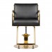 Hairdressing Chair GABBIANO PRATO GOLD black